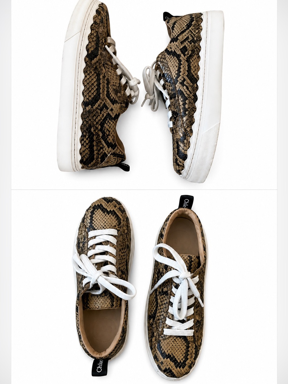 Chloé Python Print Leather Platform Sneakers Made in Italy Size 39